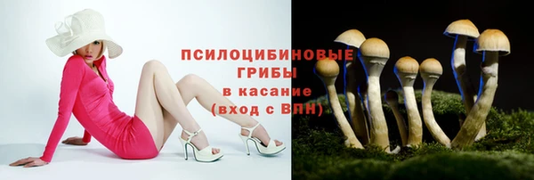 ПСИЛОЦИБИНОВЫЕ ГРИБЫ Балахна