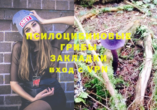 эйфоретик Баксан