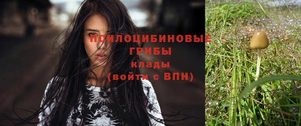 эйфоретик Баксан